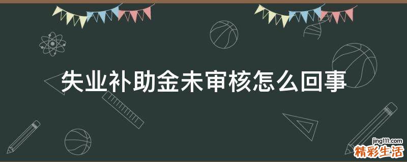 失业补助金未审核怎么回事