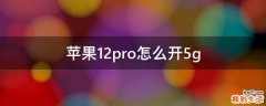 苹果12pro怎么开5g