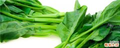 菠菜怎么保鲜时间长 吃菠菜有什么好处