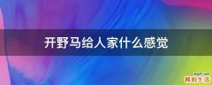 开野马给人家什么感觉