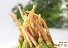 菠菜的根可以吃吗