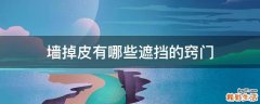 墙掉皮有哪些遮挡的窍门