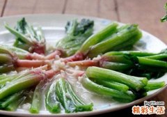 菠菜根的功效与作用