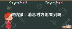 微信撤回消息对方能看到吗