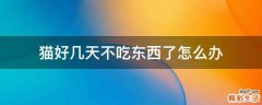 猫好几天不吃东西了怎么办