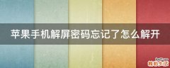 苹果手机解屏密码忘记了怎么解开