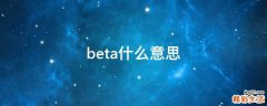 beta什么意思
