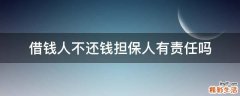 借钱人不还钱担保人有责任吗