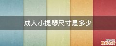 成人小提琴尺寸是多少