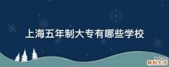 上海五年制大专有哪些学校