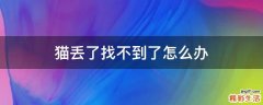 猫丢了找不到了怎么办