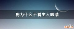 狗为什么不看主人眼睛