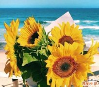 戴老花镜要注意什么