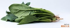 菠菜和南瓜能同时吃吗 菠菜可以和南瓜一起煮吗