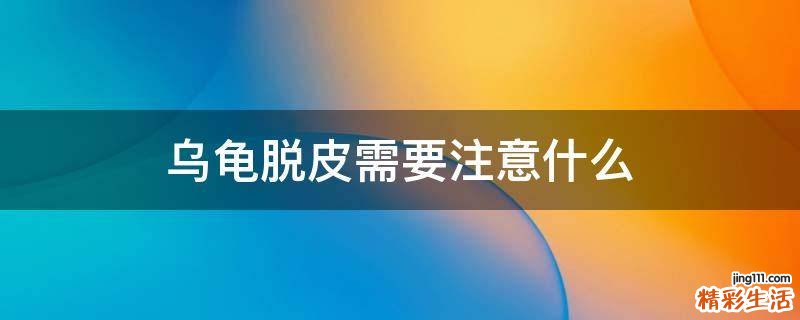 乌龟脱皮需要注意什么