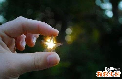 2 栓皮栎