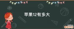 苹果12有多大