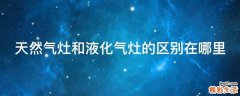 天然气灶和液化气灶的区别在哪里