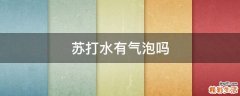 苏打水有气泡吗