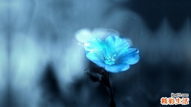 什么方法能让老年人心情快乐