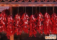 吃辣椒胃烧怎么办