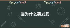 猫为什么要发腮