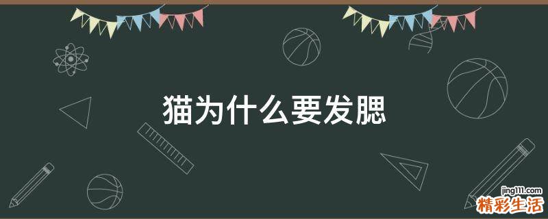 猫为什么要发腮