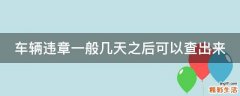 车辆违章一般几天之后可以查出来