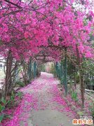 湿疹是什么症状，可以分为三大类