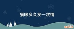 猫咪多久发一次情