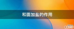 和面加盐的作用