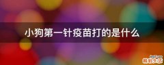 小狗第一针疫苗打的是什么