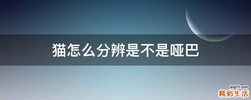 猫怎么分辨是不是哑巴