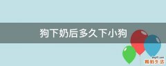 狗下奶后多久下小狗