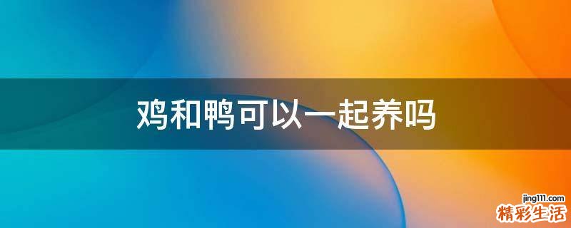 鸡和鸭可以一起养吗