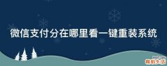 微信支付分在哪里看一键重装系统
