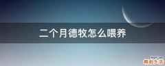 二个月德牧怎么喂养