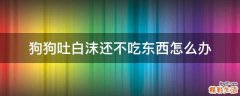 狗狗吐白沫还不吃东西怎么办