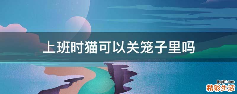 上班时猫可以关笼子里吗