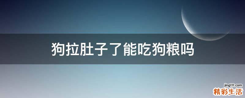 狗拉肚子了能吃狗粮吗