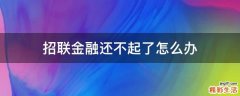招联金融还不起了怎么办