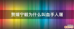 赘婿宁毅为什么叫血手人屠