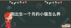 刚出生一个月的小猫怎么养
