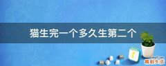 猫生完一个多久生第二个