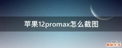 苹果12promax怎么截图