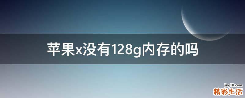 苹果x没有128g内存的吗