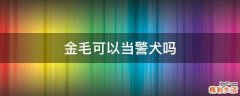 金毛可以当警犬吗