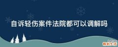 自诉轻伤案件法院都可以调解吗