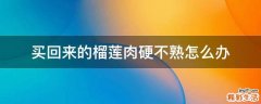 买回来的榴莲肉硬不熟怎么办