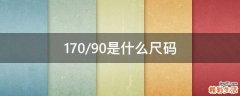 170/90是什么尺码